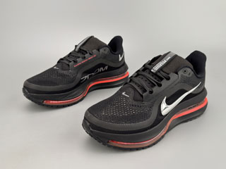 AIR ZOOM Pegasus Premium