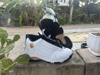 Air Jordan 14 Retro-31